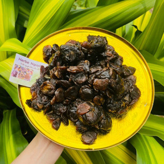 200g Nhãn vãi nấu sâm thơm nước đậm màu