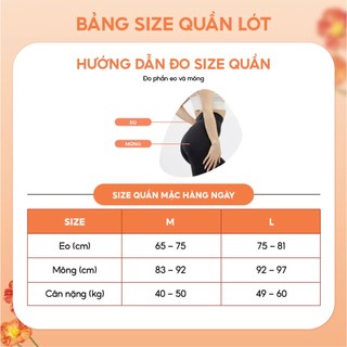 Quần Lót Modal Cạp Cao Loirechic QLBR80