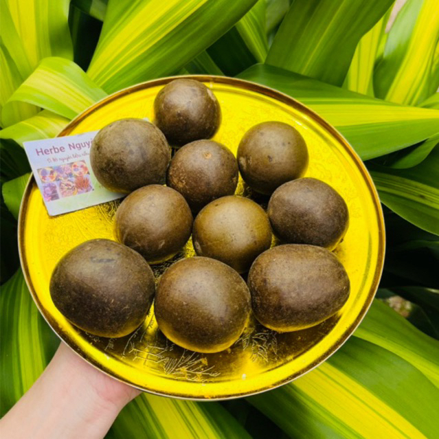 10 trái La hán quả  (trái to loại 1)