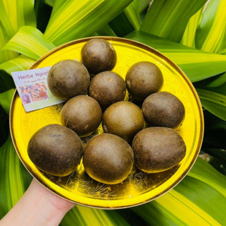 10 trái La hán quả  (trái to loại 1)