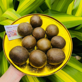 10 trái La hán quả  (trái to loại 1)
