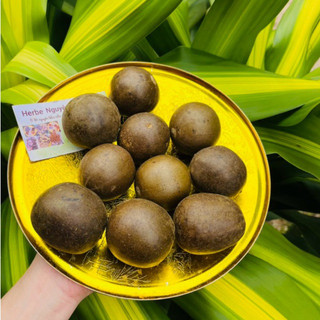 10 trái La hán quả  (trái to loại 1)