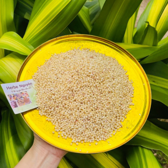 Ý dĩ - bo bo trắng 200g