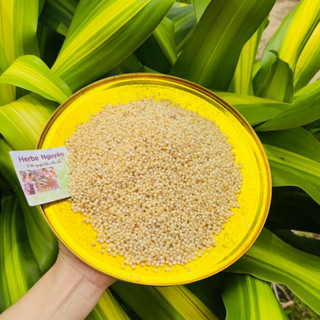 Ý dĩ - bo bo trắng 200g