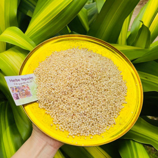 Ý dĩ - bo bo trắng 200g