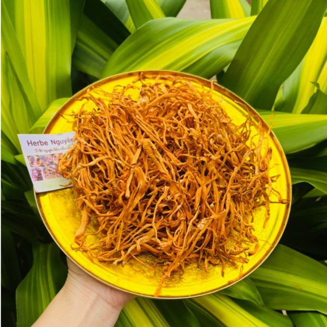 🍄Bông đông trùng🍄50g🍄