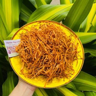🍄Bông đông trùng🍄50g🍄
