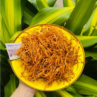 🍄Bông đông trùng🍄50g🍄