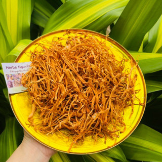 🍄Bông đông trùng🍄50g🍄