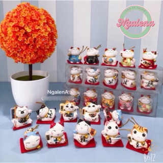  Set 5 mèo thần tài thảm đỏ Ngũ phúc lâm môn 