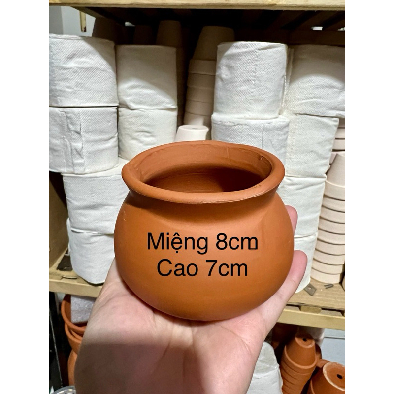 chậu đất nung dáng lu - chậu lu trồng sen đá