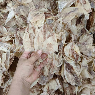 15 con mực khô mini y hình