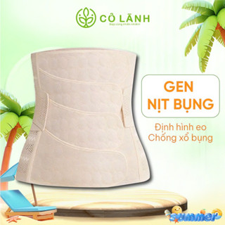 Gen Nịt Bụng Cỏ Lành - Giúp Định Hình Eo Và Cột Sống