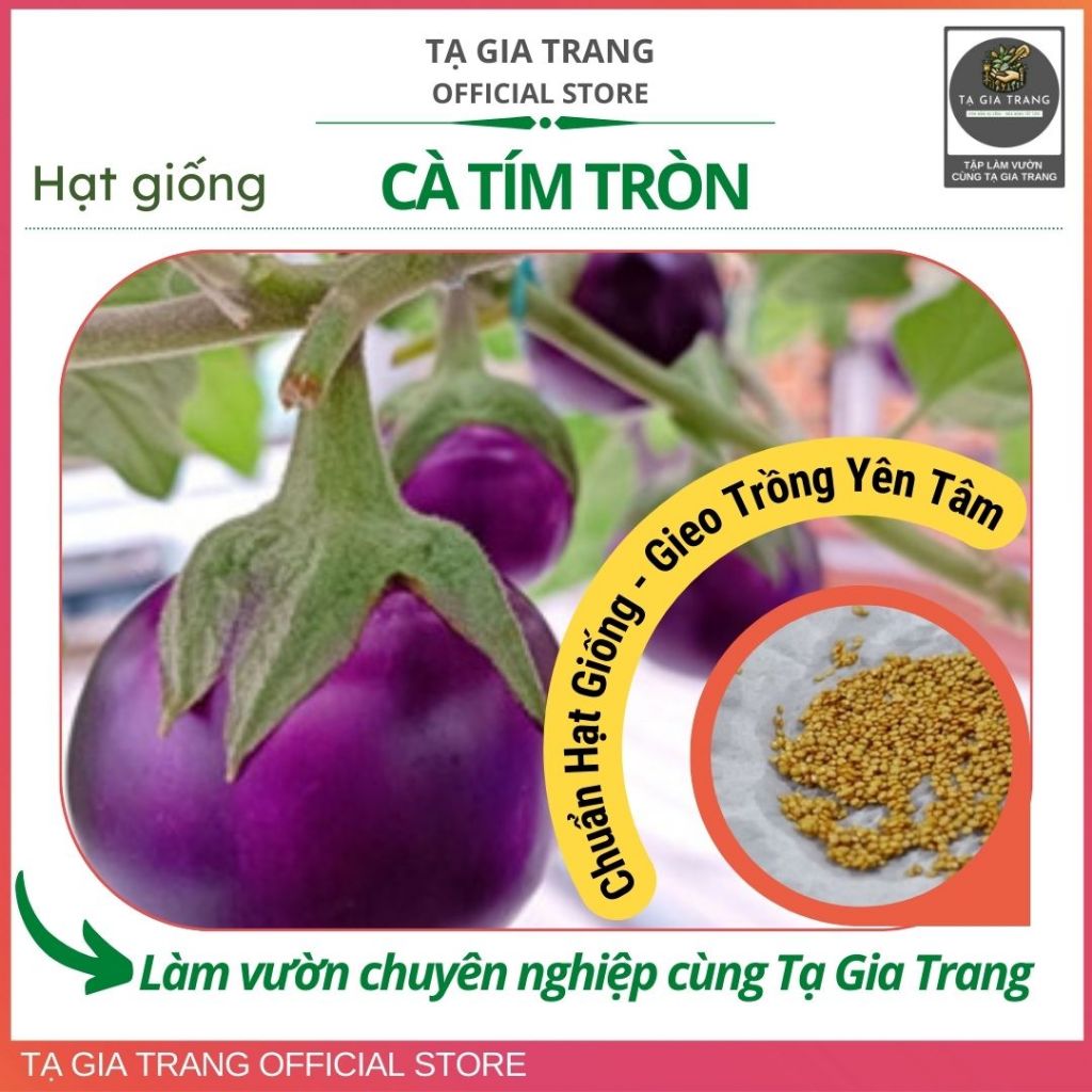 Hạt giống cà tím tròn (cà bát tím) - Shop hạt giống Tạ Gia Trang