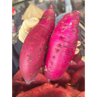 khoai lang nhật 1kg size 3-6 củ kg