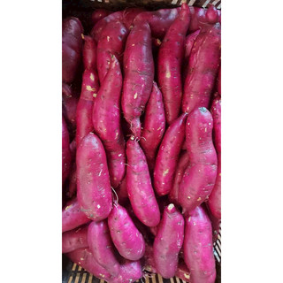 khoai lang nhật 1kg size 3-6 củ kg