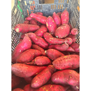 khoai lang nhật 1kg size 3-6 củ kg