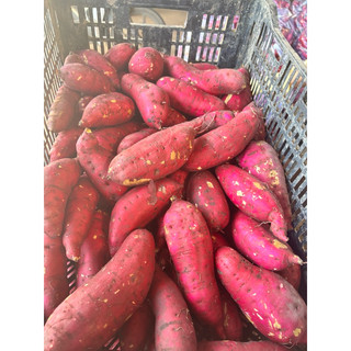 khoai lang nhật 1kg size 3-6 củ kg
