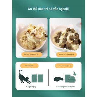 Combo Pate Wanpy cao cấp cho mèo gói 80g