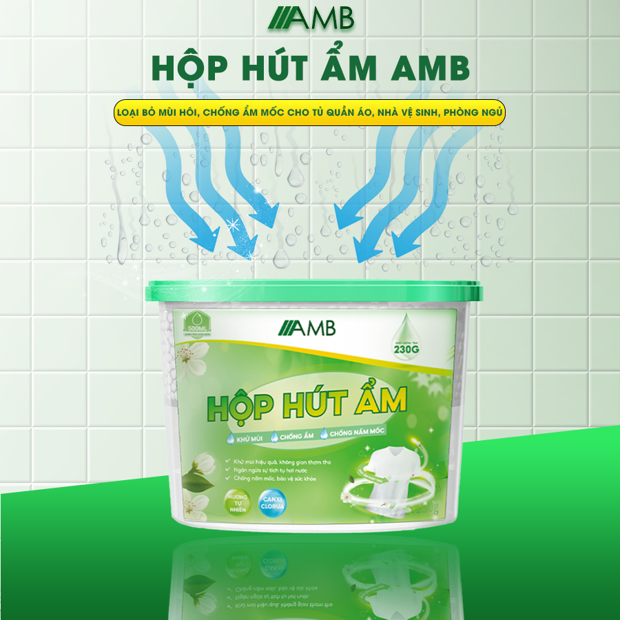 Hộp hút ẩm AMB khử mùi, chống ẩm mốc cho tủ quần áo, tủ giày, phòng ngủ, dung tích 500ml, hiệu quả nhanh