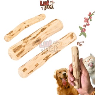  Thanh gặm xương cho chó bằng gỗ cà phê que xương gỗ cafe đồ chơi làm sạch răng thú cưng - lutpet 