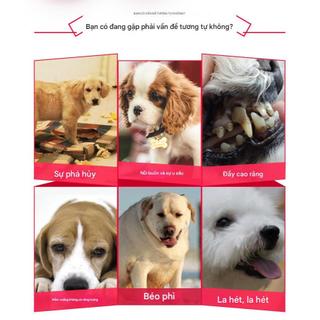 Bóng Cao Su Đồ Chơi Cho Chó Mèo - Bóng Đàn Hồi Vận Động, Đồ Chơi Huấn Luyện Thú Cưng Nhiều Kích Thước