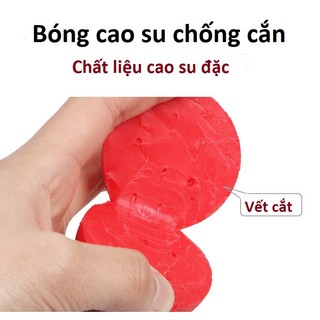 Bóng Cao Su Đồ Chơi Cho Chó Mèo - Bóng Đàn Hồi Vận Động, Đồ Chơi Huấn Luyện Thú Cưng Nhiều Kích Thước