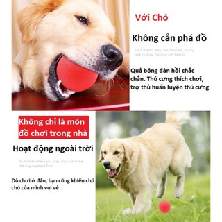 Bóng Cao Su Đồ Chơi Cho Chó Mèo - Bóng Đàn Hồi Vận Động, Đồ Chơi Huấn Luyện Thú Cưng Nhiều Kích Thước