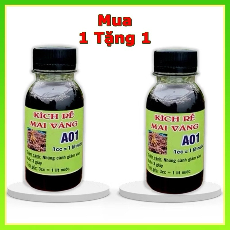 Kích rễ mai vàng AO1, phân bón kích rễ tưới gốc chiết cành cho các loại cây trồng phát triển bộ rễ v