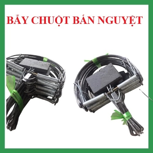 Bẫy Chuột Bán Nguyệt Đường Kính 14cm, Cạm Chuột Nhiều Cỡ