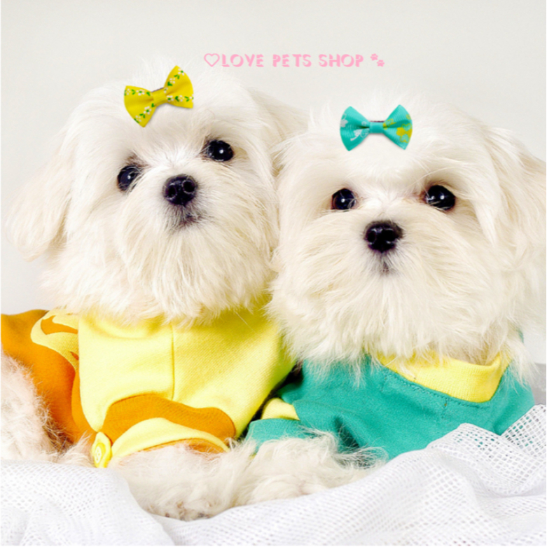 Kẹp nơ làm đẹp cho Chó Mèo - Love Pets Shop