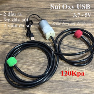 [Sủi USB] Máy Sủi Oxy Mini 2 vòi Kết Nối USB - Sục Khí Oxi Cho Bể Cá Cảnh