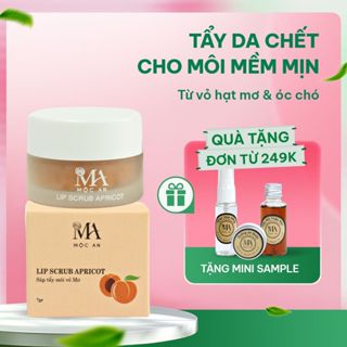 Sáp Tẩy Da Chết Môi Lip Scrub Apricot Mộc An Cho Một Đôi Môi Căng Mọng, Mịn Màng Mini Size 7G