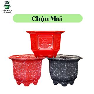 Chậu nhựa trồng cây lục giác đầy đủ kích thước mầu đỏ gạch, mầu Trắng, mầu đen, hàng đẹp và sẵn kho