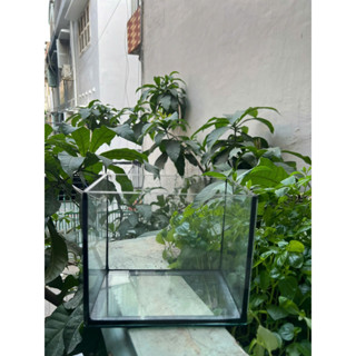 ( TOÀN QUỐC) Bể cá mini - Hồ cá betta 15X12X18 keo dán màu đen, màu trắng đủ kích thước lựa chọn