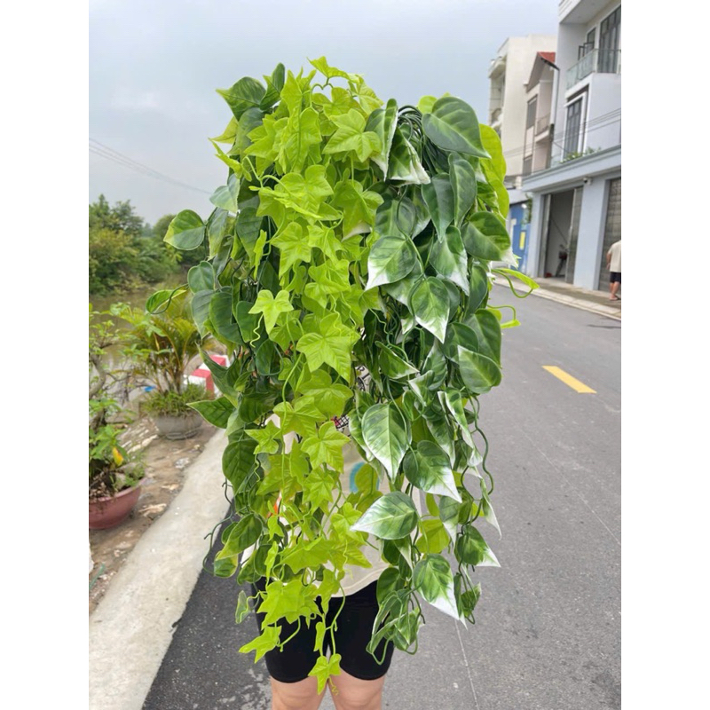 Rủ lá cao cấp 60cm rủ lá nhựa #rủ_lá_trang_trí #rủ_lá_60cm_giả