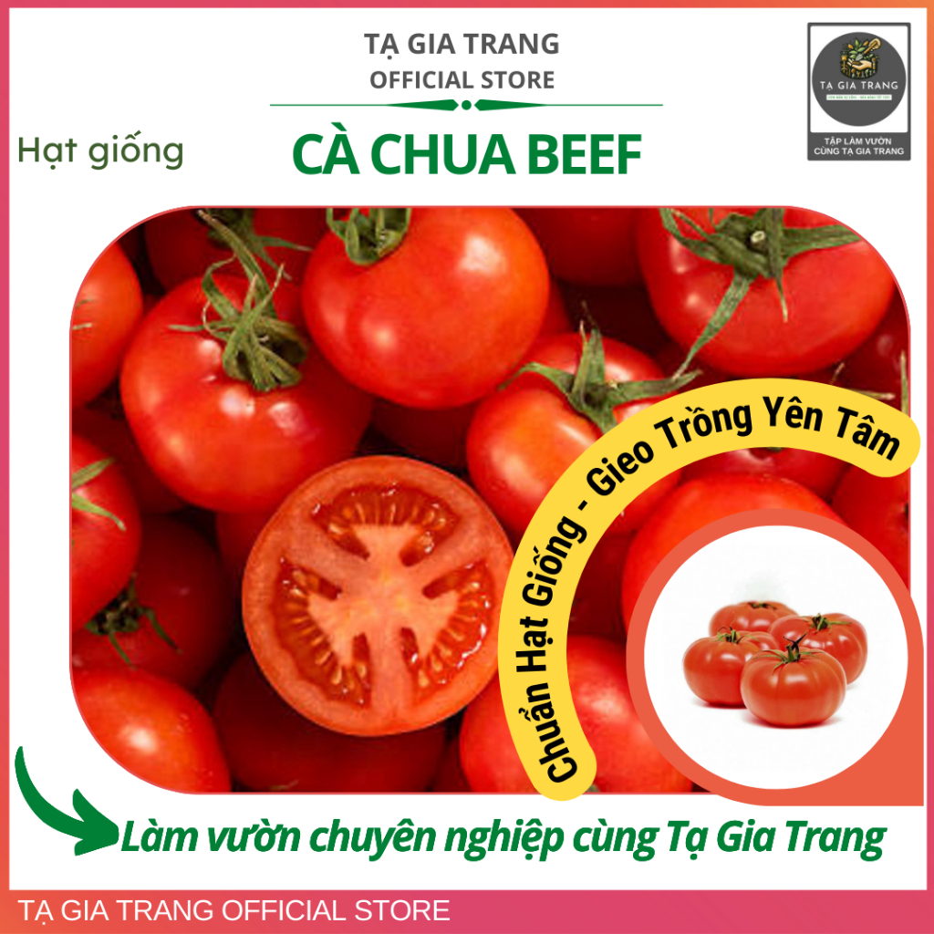 Hạt Giống Cà Chua Beef F1
