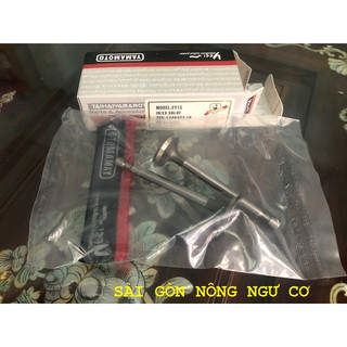 Piston bac séc măng , Sú páp máy Robin EY15