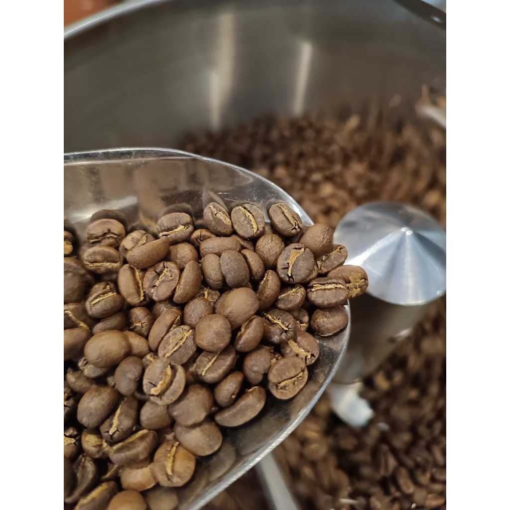 Doorio Signature - Cà phê hạt rang Special Blends