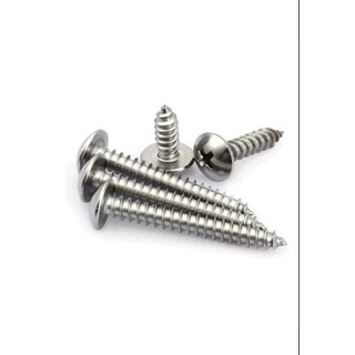   set 10-40 con  vít gỗ - vít ren thưa đầu dù inox 304 và 201 