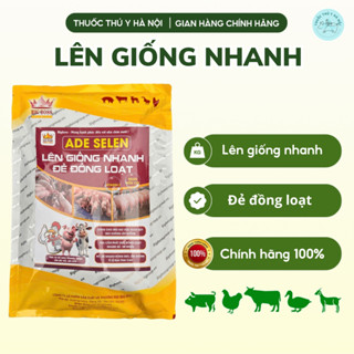 Lên Giống Nhanh Đẻ Đồng Loạt Cho Heo Nái Vừa Tách Bầy, Heo Không Lên Giống, Heo Hậu Bị, Gia Cầm, Nhanh Đẻ, Đẻ Nhiều