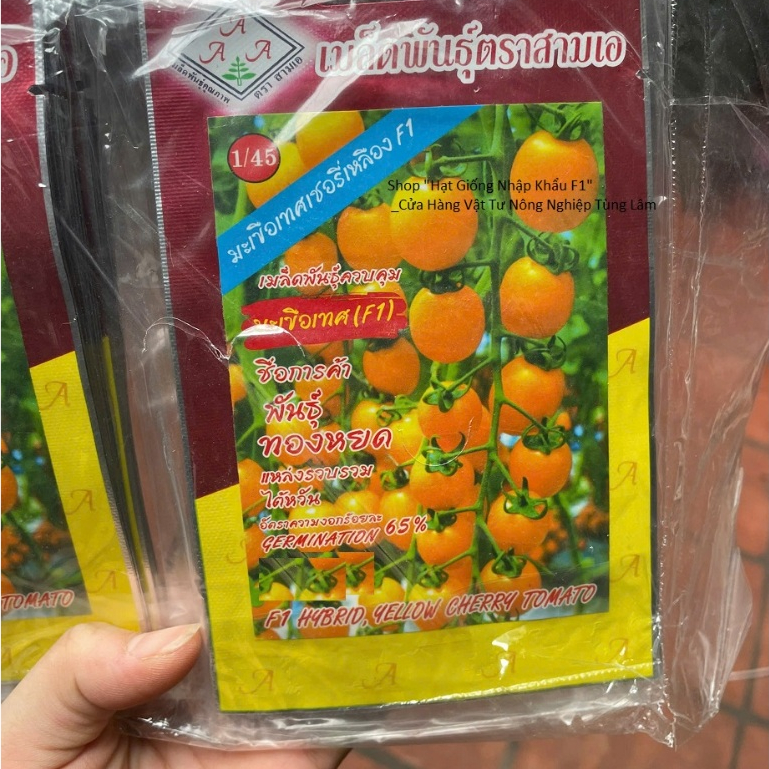 Hạt giống Cà Chua Bi Chùm Vàng_Cà chua Cherry chuỗi ngọc trái cây nhập nguyên gói Thái Lan