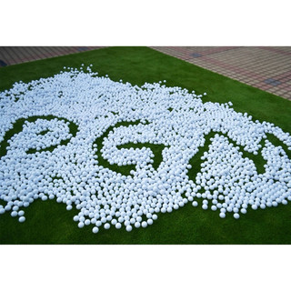 COMBO 10 BÓNG GOLF PGM Q003 PLAIN GOLF BALL