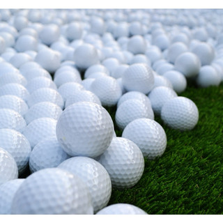 COMBO 10 BÓNG GOLF PGM Q003 PLAIN GOLF BALL