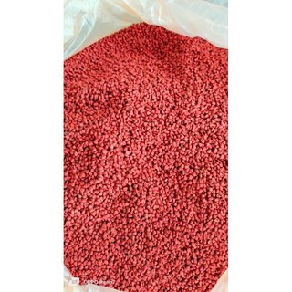 1Kg Hạt Điều Màu (Cari)