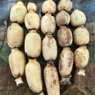 Củ Sen Giòn Ngọt Gói-1KG-Size 4 Củ