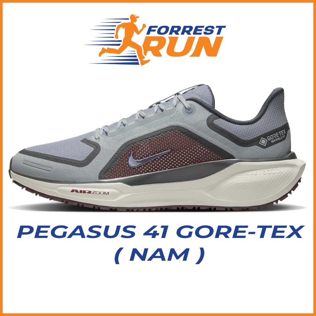 Pegasus 41 Gore-tex GTX Nam FQ1356-003