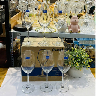 Bộ 6 ly uống rượu vang champagne thủy tinh thái lan Ocean Madison White Wine 26W12 dung tích 340ml đẹp cao cấp rẻ