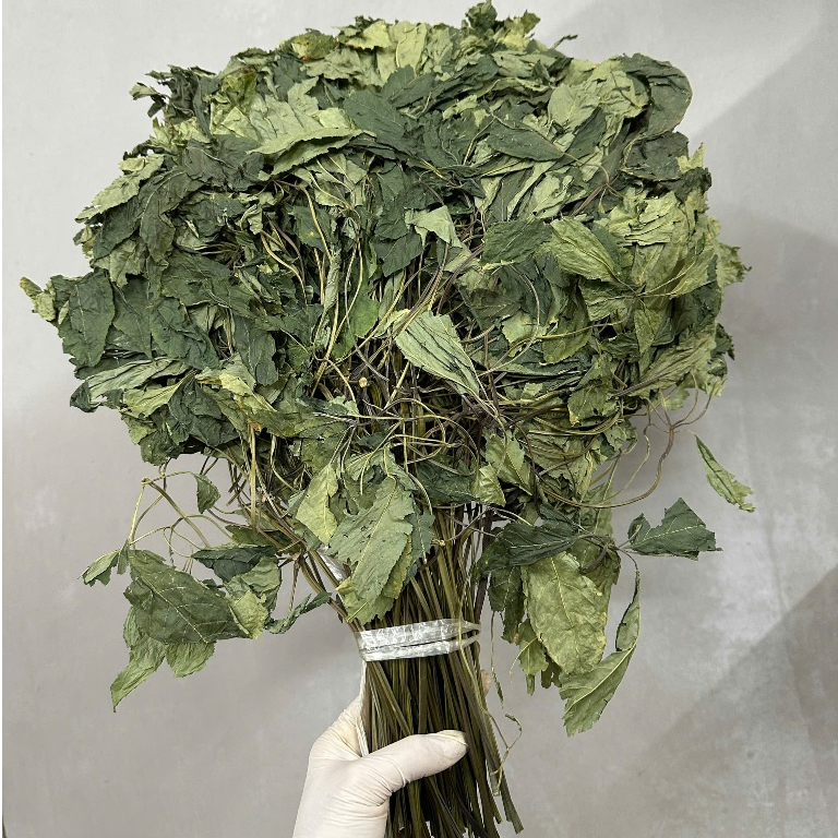 Lá Sâm Ngọc Linh Sấy Lạnh Lai Châu - Lá Sâm Ngọc Linh Tây Bắc