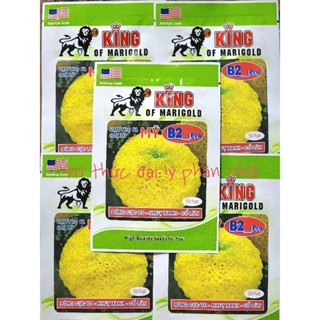 Hạt giống hoa vạn thọ rồng vàng b2 pro gói 50 hạt.